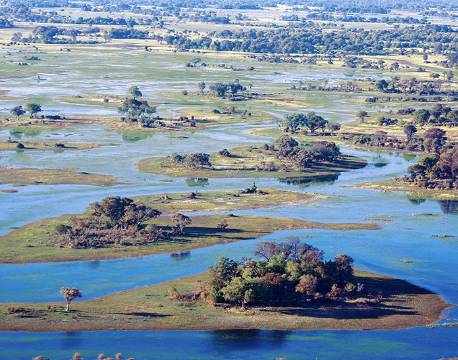 Udsigt over Okavango deltaet i Botswana africa tours