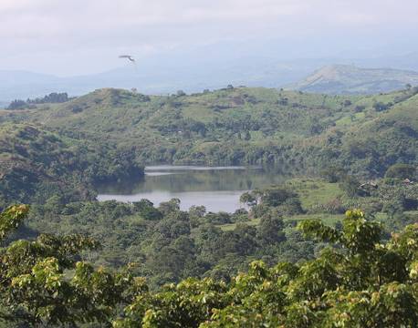 Kibale Uganda africa tours