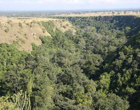 Udsigt over skovområde i Queen Elizabeth Nationapark uganda africa tours