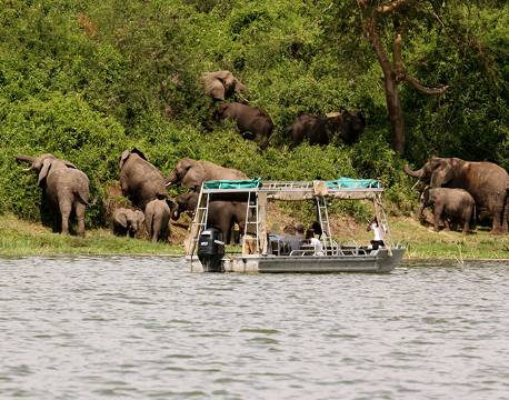 Turister studerer elefanter på nært hold fra båd i Queen Elizabeth Nationalpark, Uganda africa tours