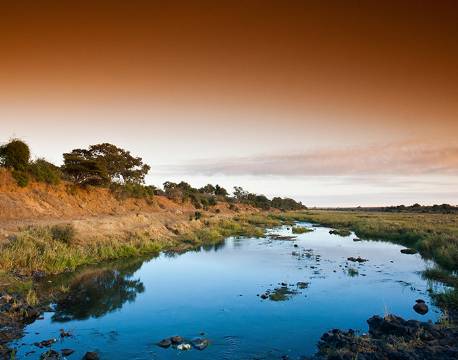 Et vandhul ses her i Krüger National Park, Sydafrika africa tours