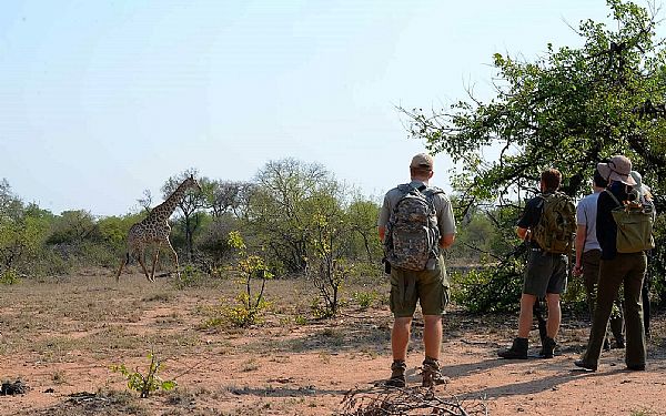 Klaserie Private Nature Reserve