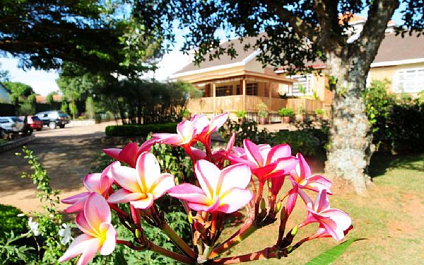 Papyrus Guest House - Entebbe