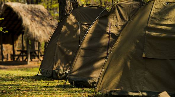 Tält & Safari i Afrika